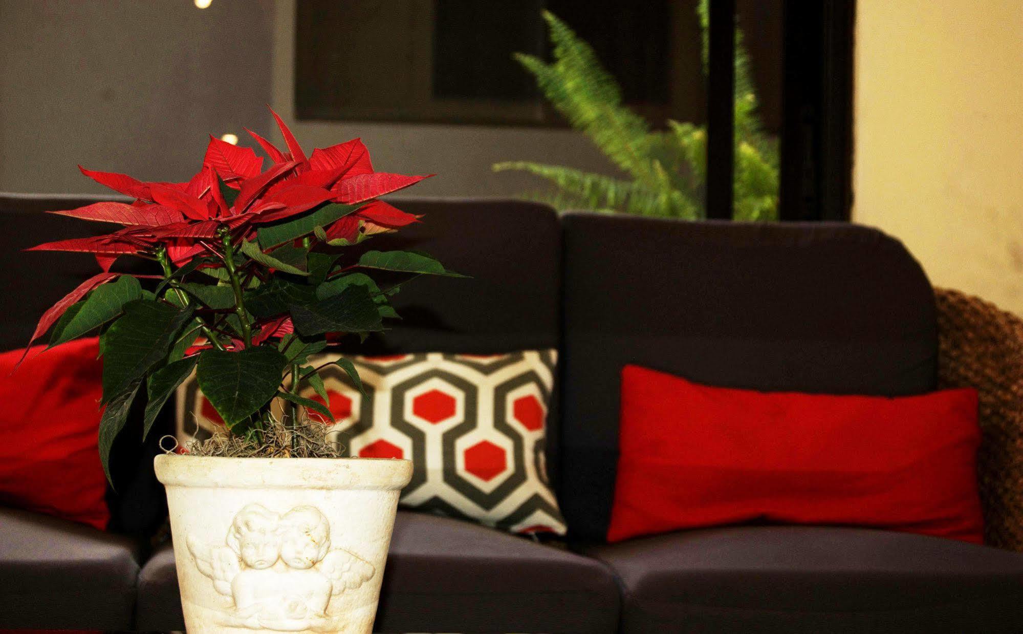 Hotel Meson De Maria Antiguo Cuscatlan Ngoại thất bức ảnh